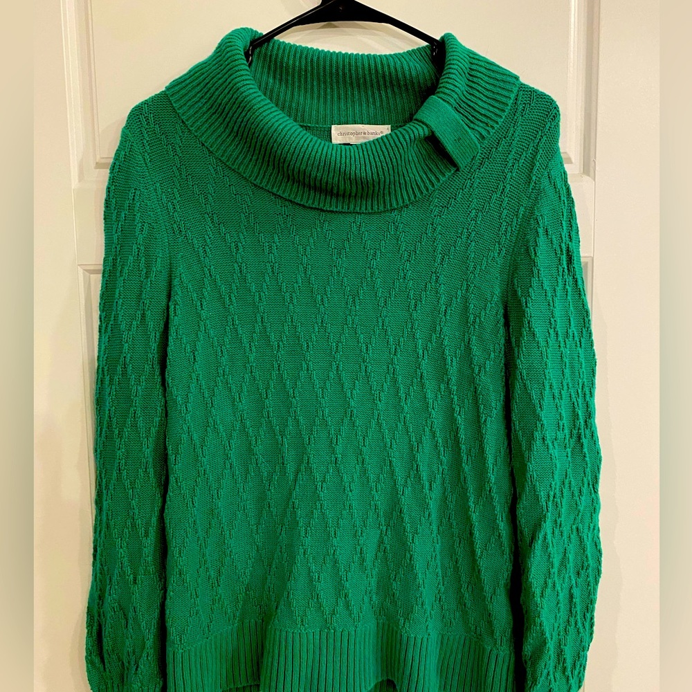 Medium Christopher Banks green sweater